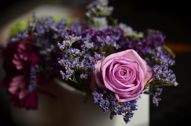 rose-1405552_640